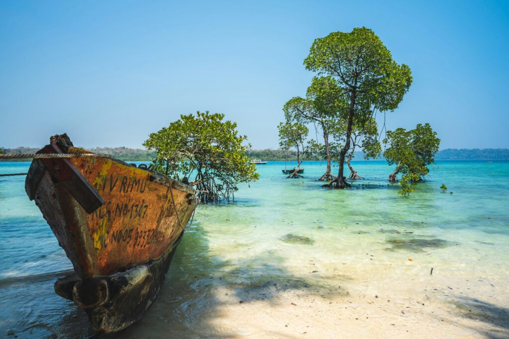 Andaman Islands budget travel – affordable beaches and snorkeling India
